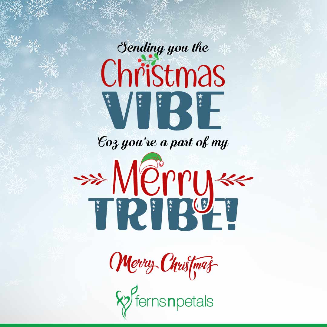 Merry Christmas Christmas Quotes Christmas Quotes, Wishes & Greetings Online 2022 - Fnp