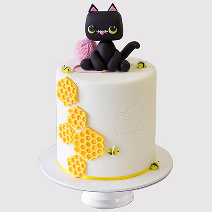 Online Cat Playing Designer Truffle Cake Gift Delivery In Singapore Ferns N Petals